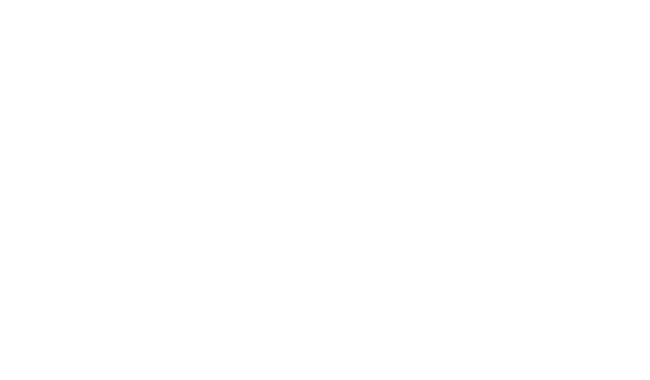 02 TORONTO INTERNATIONAL FILM FESTIVAL - OFFICIAL SELECTION - 2013